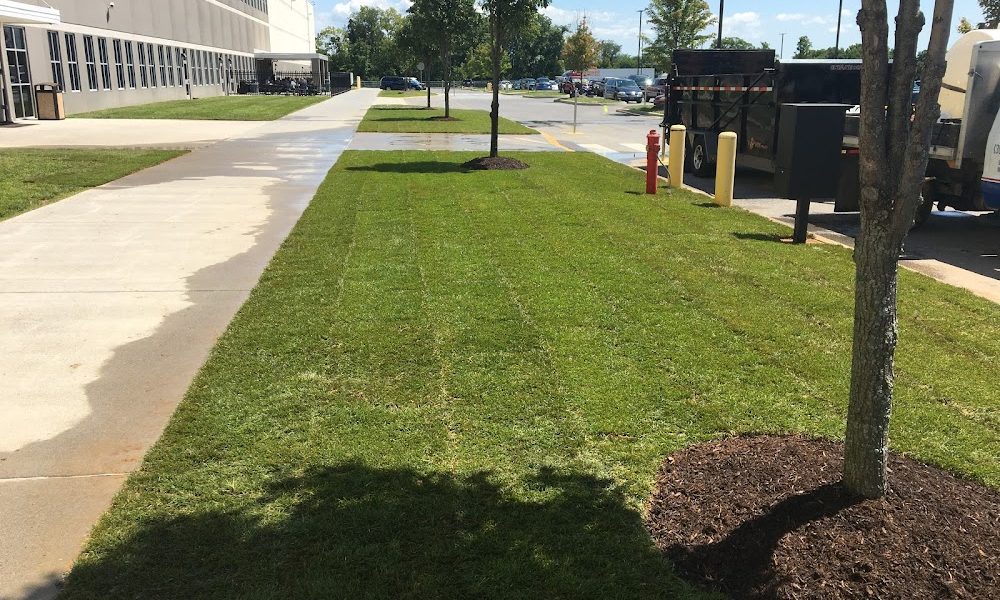 U.S. Lawns – Winchester