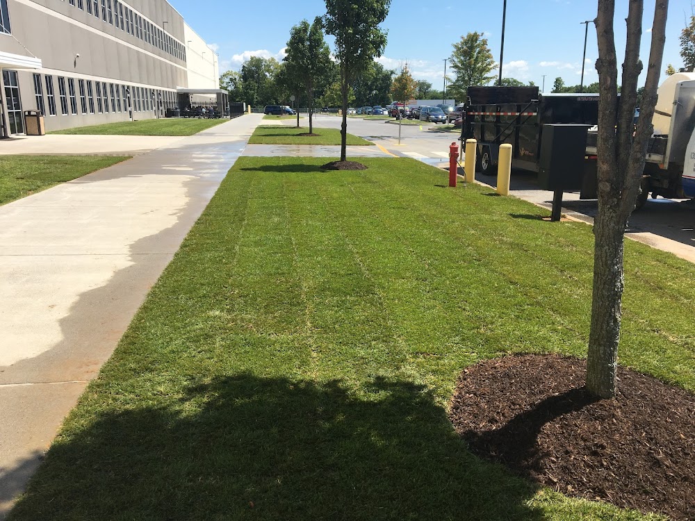 U.S. Lawns – Winchester