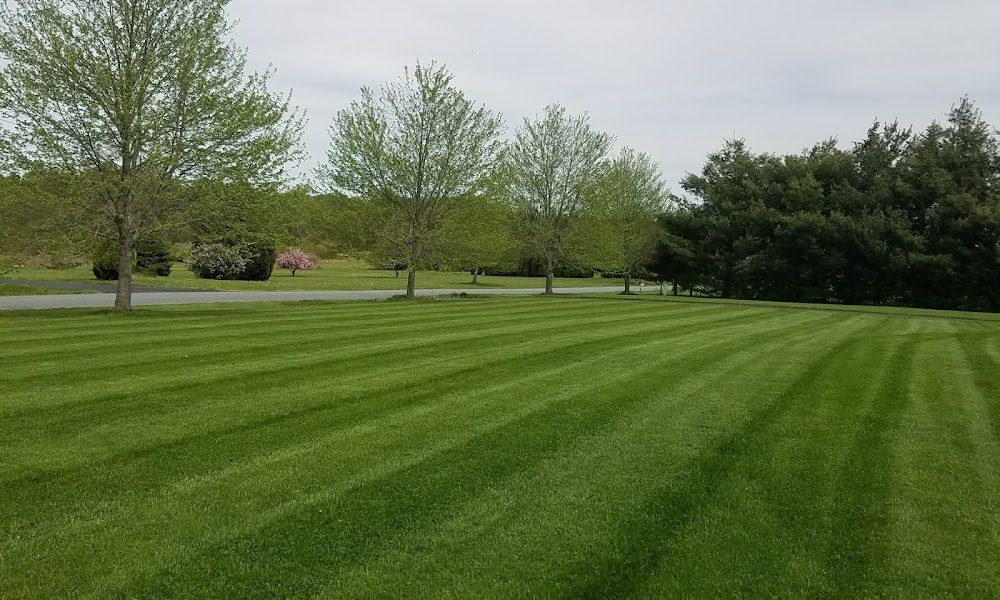 UPPER BAY LAWN CARE SERVICE