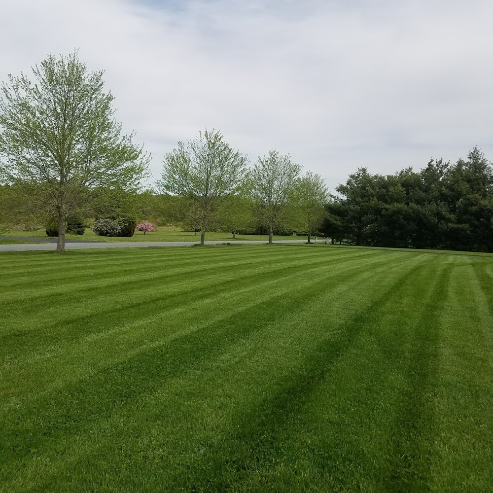 UPPER BAY LAWN CARE SERVICE