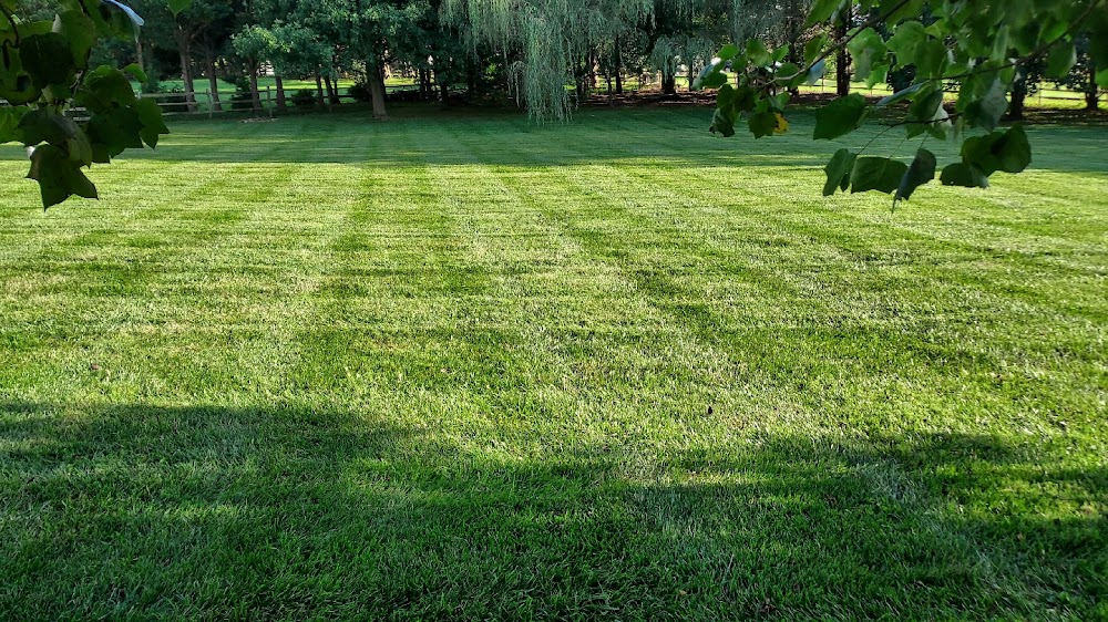 Van Lowe Lawn Care