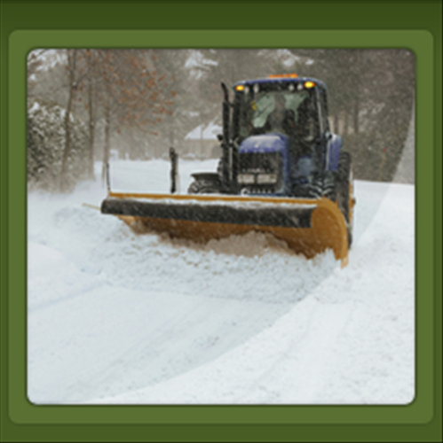 Wilfredo’s Landscaping Services