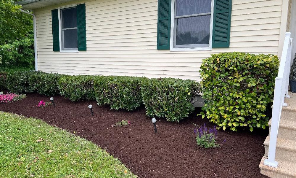 Wilson Lawn Care