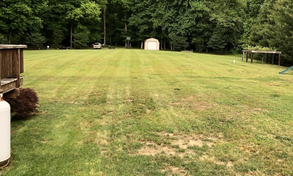 Windsor Lawn Care