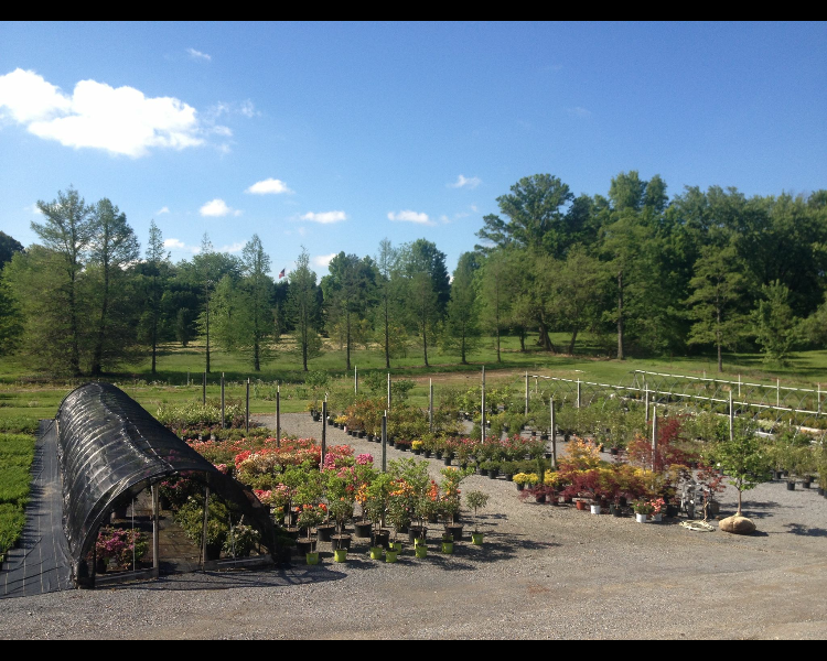 Witman Landscaping and Nursery
