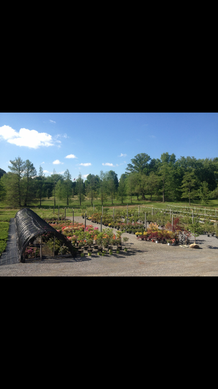Witman Landscaping and Nursery
