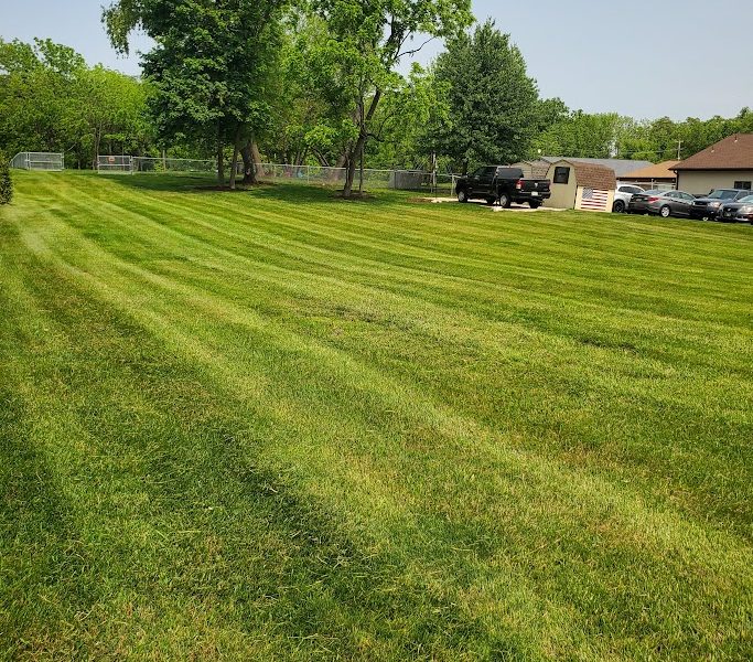 Wolf Lawn Care LLC