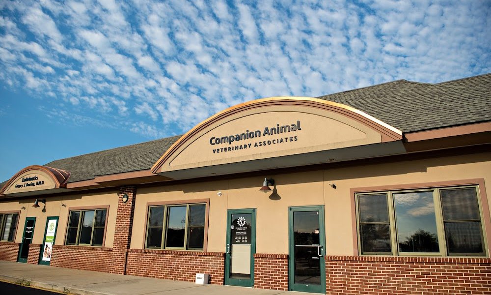 Companion Animal Veterinary Associates, LLC