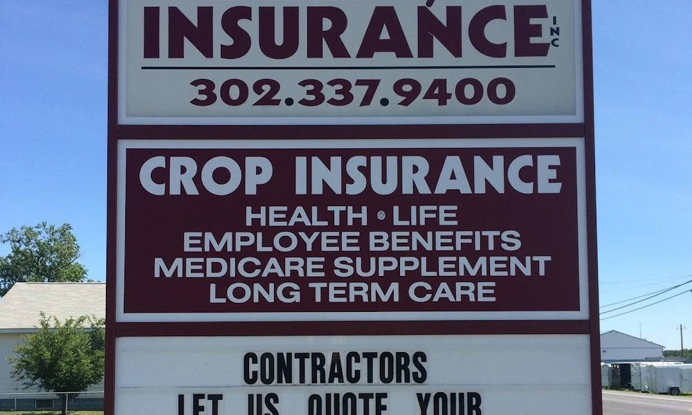 Daisey Insurance Inc