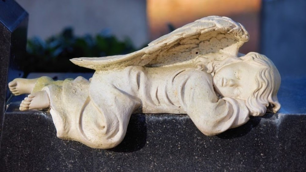 Morpheus Insurance Solutions