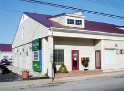 The Insurance Market