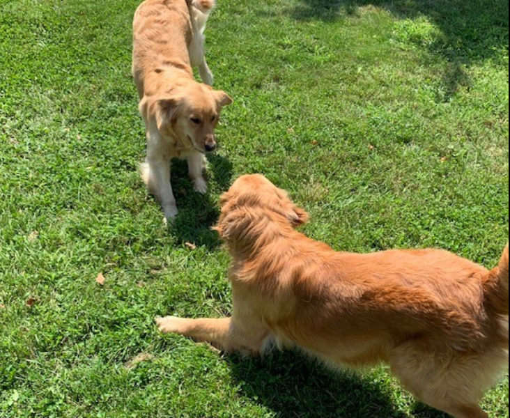 Tim Trimble – State Farm Insurance Agent