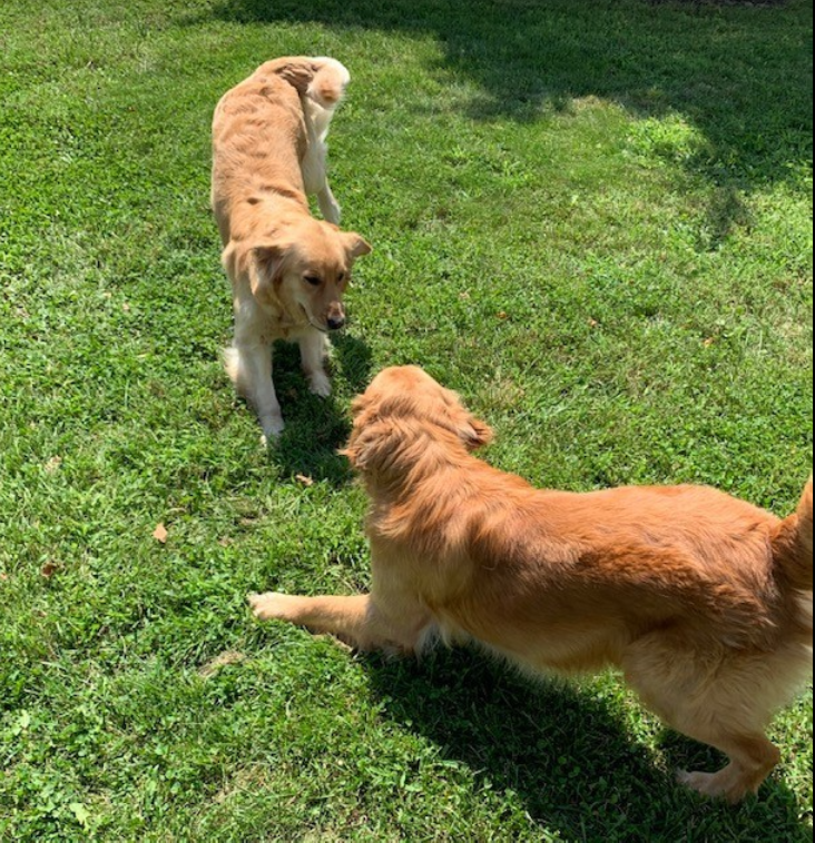 Tim Trimble – State Farm Insurance Agent